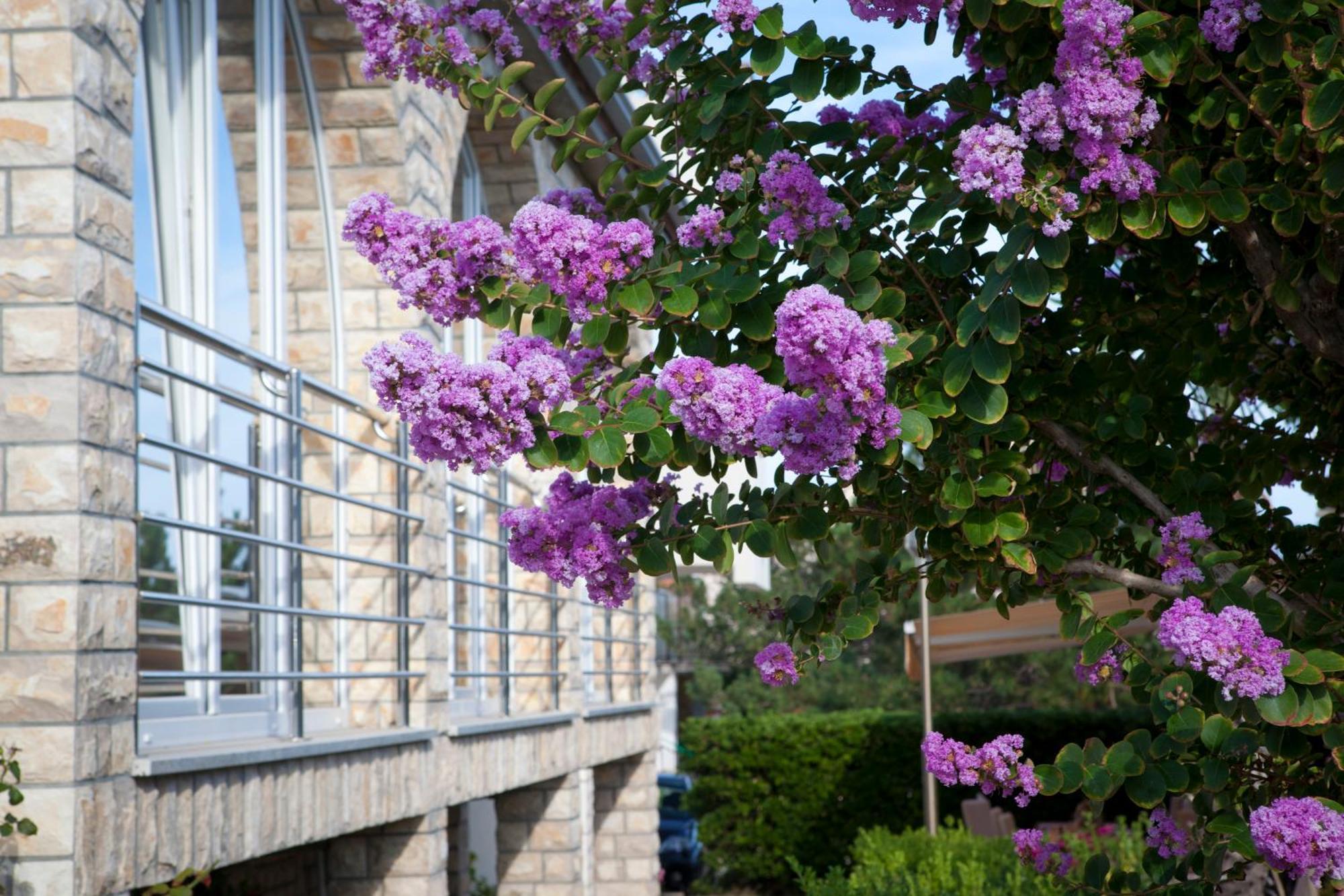 Pansion Burin Otel Baška Dış mekan fotoğraf